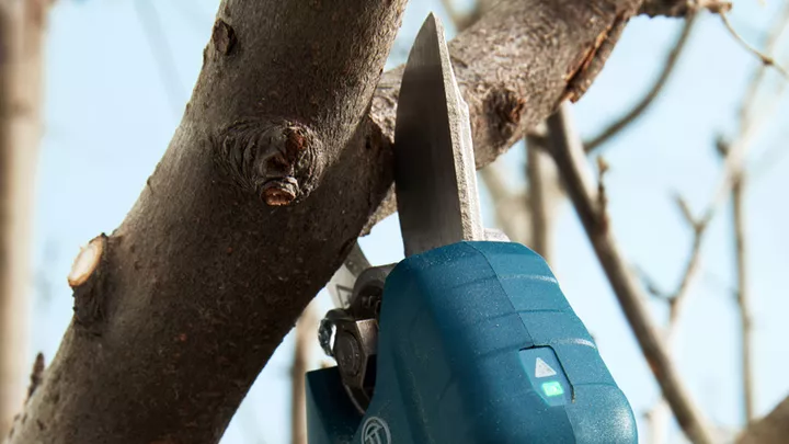 Pro Pruner Pro Pruner