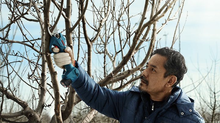 Pro Pruner Pro Pruner