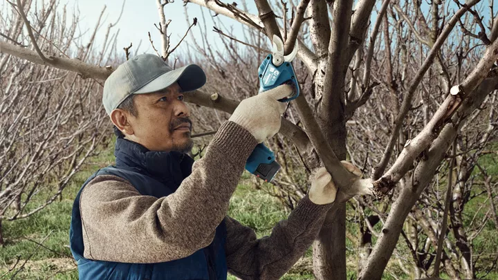 Pro Pruner Pro Pruner