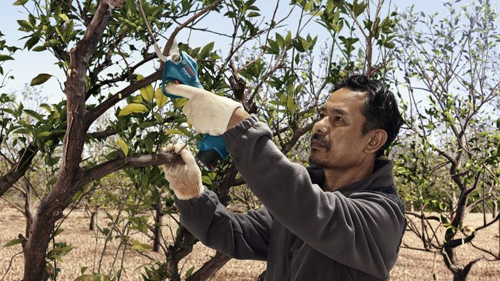 Pro Pruner Pro Pruner