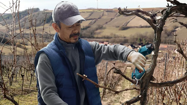 Pro Pruner Pro Pruner