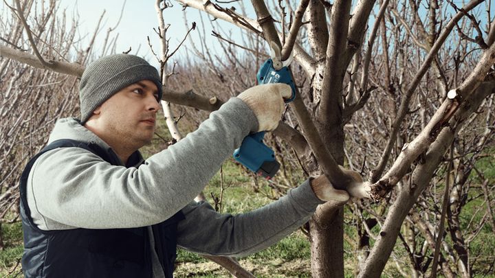 Pro Pruner Pro Pruner
