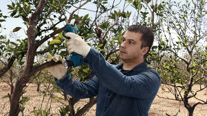 Pro Pruner Pro Pruner