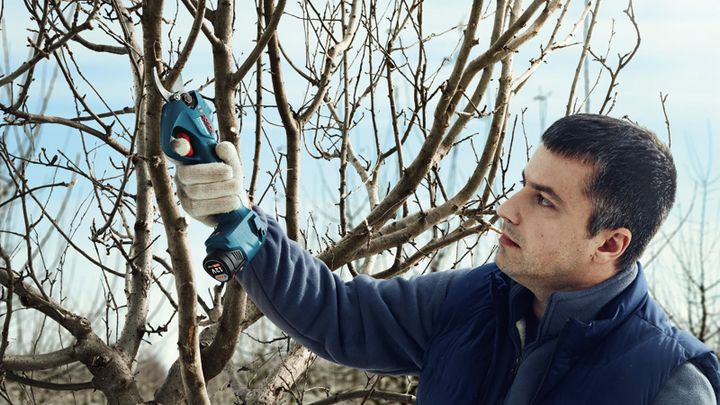 Pro Pruner Pro Pruner