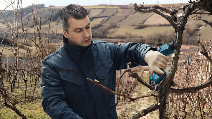 Pro Pruner Pro Pruner