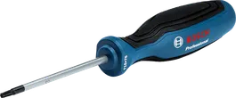 Bosch T15 x 75 Professional Torx screwdriver.