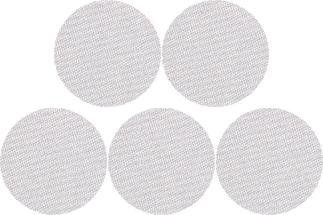 EXPERT M480 Sanding Net for Random Orbital Sanders 125 mm, G 100 5-pc Bosch sanding disc set for professional use.