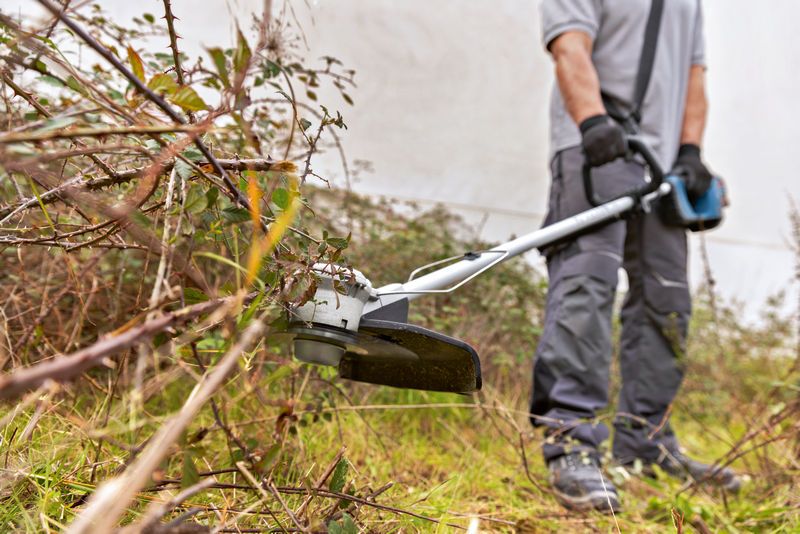 A person wearing safety equipment trims overgrown grass and brush with a cordless brushcutter.