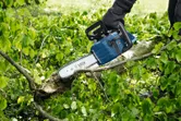 A person wearing safety equipment trims a fallen tree branch with a cordless chainsaw.