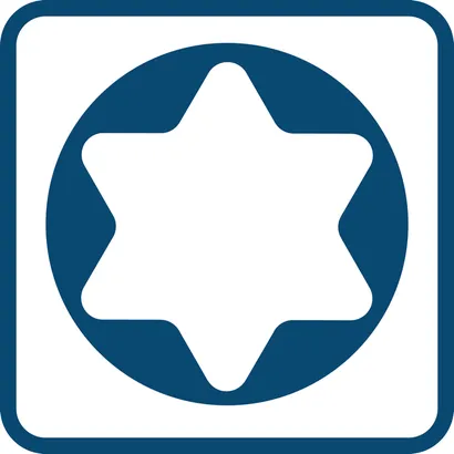 Screwdriver TX25x100 mm Professional