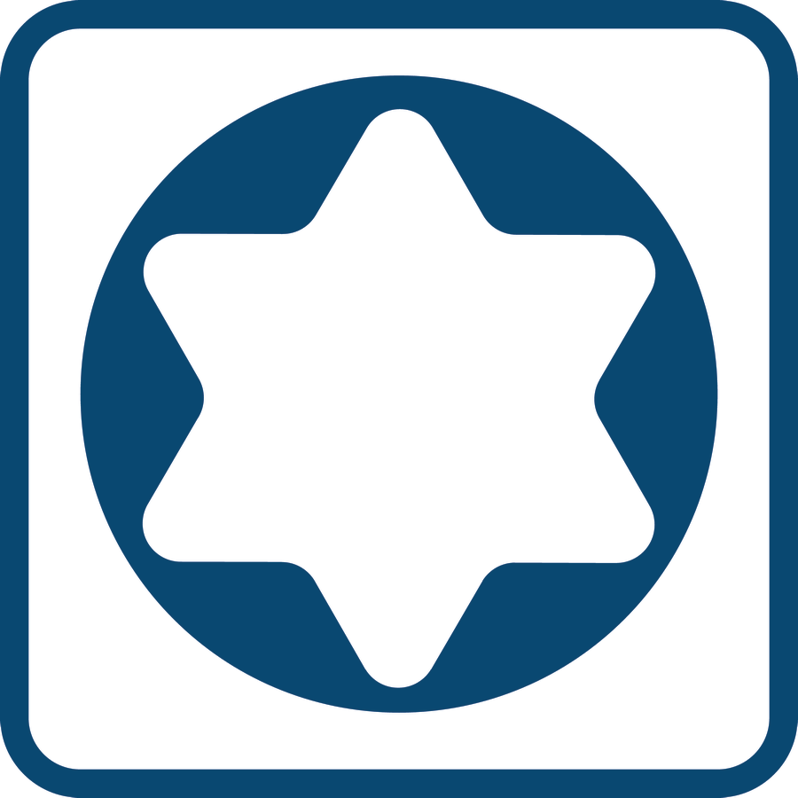 Screwdriver TX25x100 mm Professional
