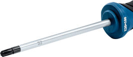 Bosch TX25x100 S2 shaft screwdriver.